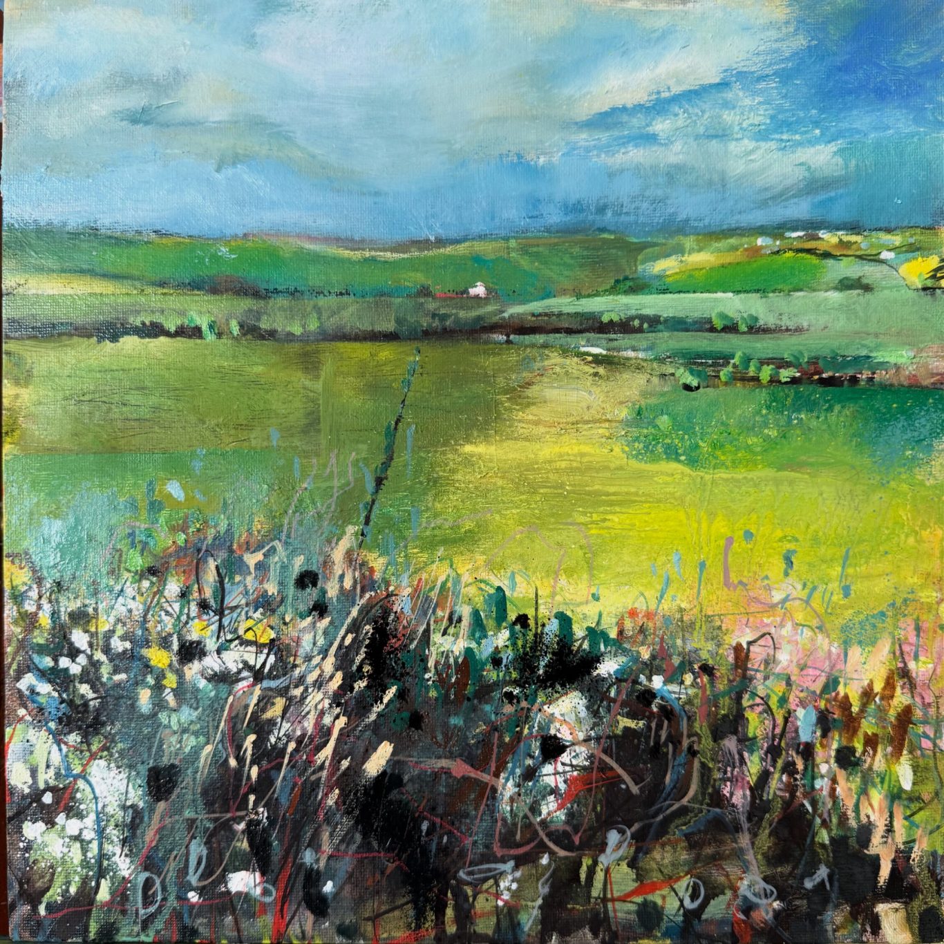 ‘Quiet afternoon, hedgerows and fields’ 2025