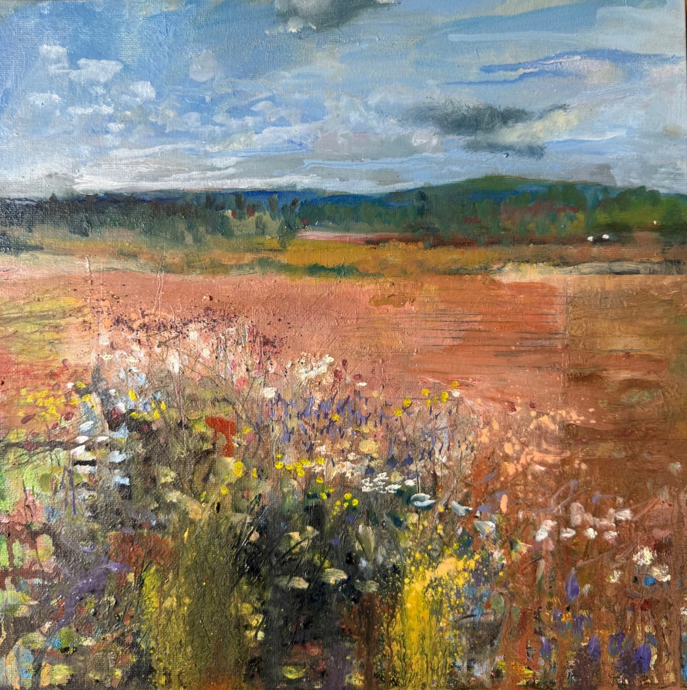 ‘Brambles and wildflowers at the edge of the field’ 2025