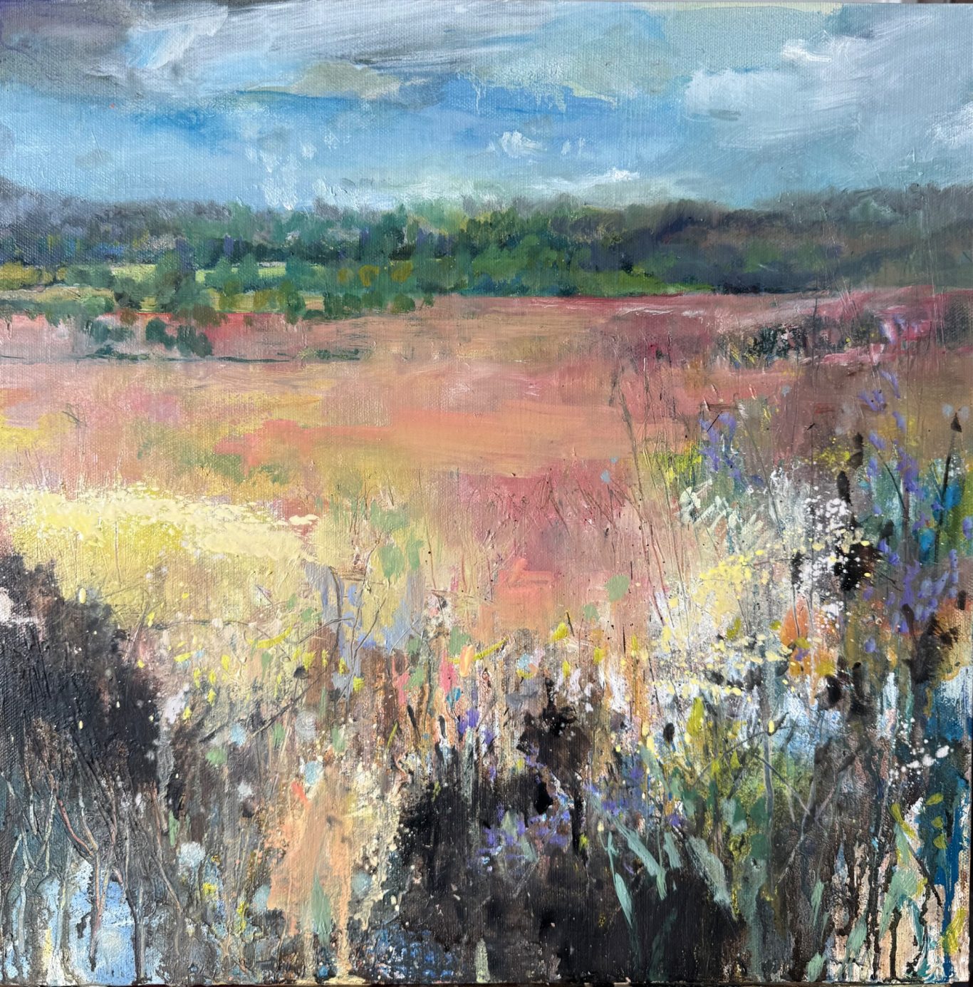 ‘Lost path at the edge of the field’ 2025