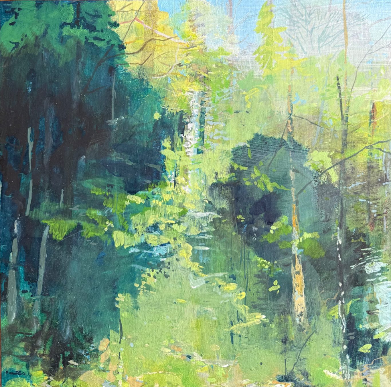 ‘Sun coming through the trees, early spring’ 2026